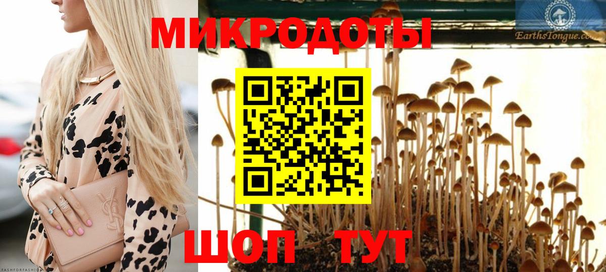 Галлюциногенные грибы мухоморы Бийск