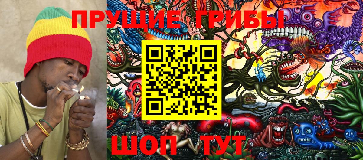 Бийск  Псилоцибиновые грибы Magic Shrooms  Вход с VPN  Псилоцибиновые грибы мухоморы 